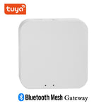 Tuya Bluetooth Mesh Door Window Sensor Detector Works With Alexa Google Home